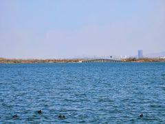 -南湖国家城市湿地公园