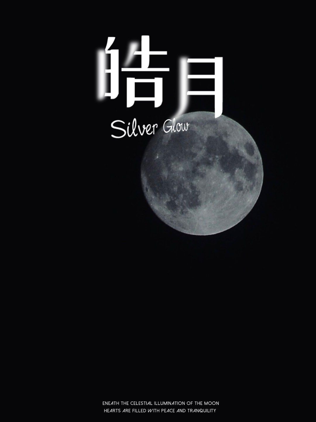 🏮万家灯火 中秋皓月