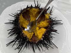 海胆刺身-万宝海鲜舫(劳动公园店)