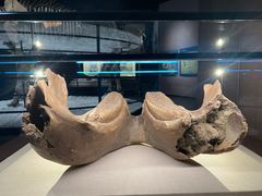 -呼伦贝尔民族博物馆