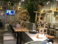 大堂-小时光咖啡馆(开森度假森林店)