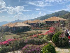 -优游吧斯邹族文化部落