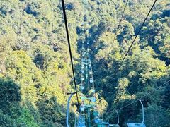 -野象谷景区
