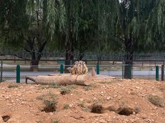 -秦皇岛野生动物园