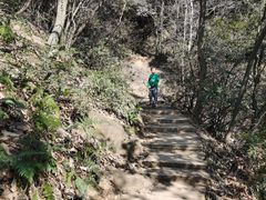 -杭州半山国家森林公园