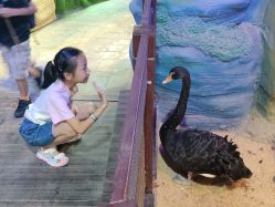 -酷嗒动物文化乐园(cutezoo西溪乐天城店)