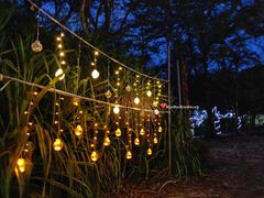 -那琴半岛地质海洋公园