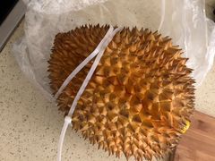 -双福水果批发市场