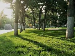 -北京邮电大学