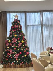 -上海玫瑰医疗美容医院