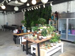 点击看大图 -六月嫁期婚礼(旗舰店)