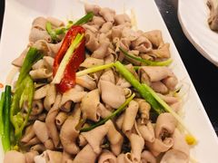 -优之名鹅城