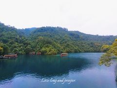 -鼎湖山风景区