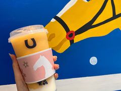杏好卡酪-春丽小马(济南恒隆广场店)