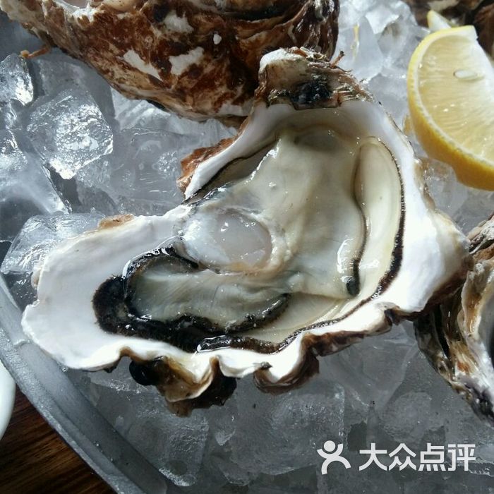 兰巴赫西餐啤酒坊生蚝图片-北京西式正餐-大众点评网