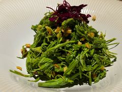 翠芽松尖-本处·素食·融合料理(南油店)