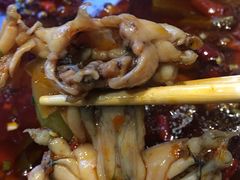 -靓蛙馆