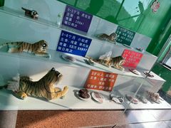 -横道河子东北虎林园