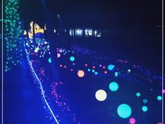 -昆山城市生态森林公园