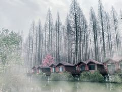 -上海怡沁园度假酒店