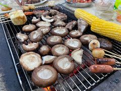 -新地休闲农场