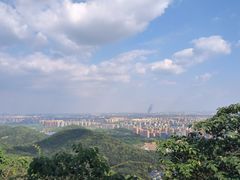 -杭州半山国家森林公园