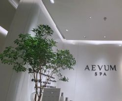 -奥斯芬·欧系贵族SPA