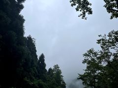 -刘伯温故里景区百丈漈