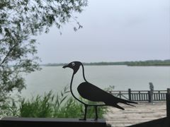 -野鸭湖国家湿地公园