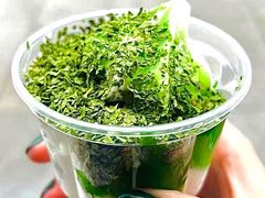 -麦当劳甜品站(高德置地广场春广场店)