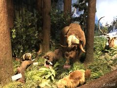 -陕西自然博物馆