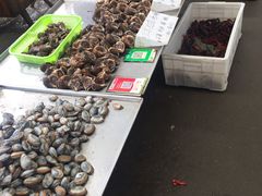 -重振华中蔬菜批发市场(重庆中路店)