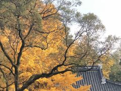 -汇龙潭