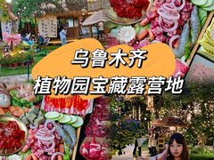 -十亩森林