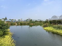 -马陆小张葡萄园农家乐