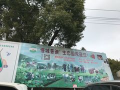 -普迪生态园