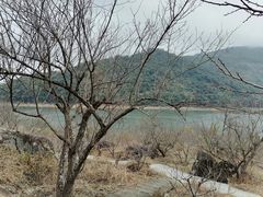 -广州市流溪河国家森林公园