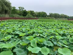 -新木器时代餐厅(太湖新天地店)