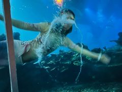 -涛·海底餐厅·美人鱼·自助餐·海底隧道(三亚海棠湾洲际度假酒店)
