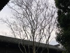 -呈坎景区