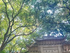 -灵岩山风景区