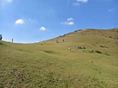 -大姆山草场