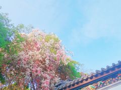 -深圳国际园林花卉博览园