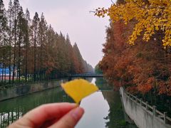 -上海大学(宝山校区)