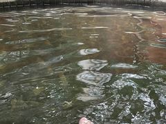 -龙达温泉生态城
