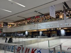 -TheRink大零溜冰场(IFS国金中心店)