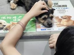 -四月宠物医院·猫专科·心脏专科·内科(转塘店)