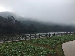 -广州市石门国家森林公园