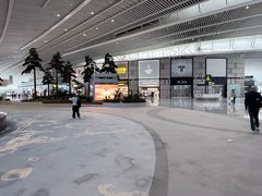 -青岛胶东国际机场