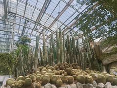 -南山植物园